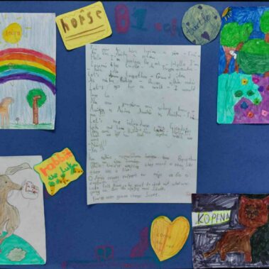 Εργασίες του 12ου Δημοτικού Σχολείου Ηλιούπολης, με αφορμή το βιβλίο “Δεν είναι αστείο, Σκοτ!/It’s not funny, Scott!”