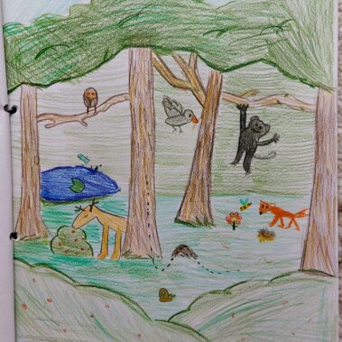 ΤΕΓ Ζυρίχης-Μια σταγόνα ομορφιάς